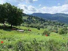 Buzau Teren de vanzare La Bisoca aproape de strada