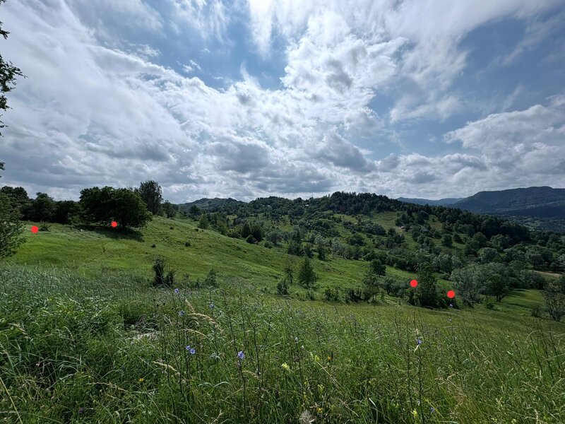 Buzau Teren de vanzare La Bisoca aproape de strada